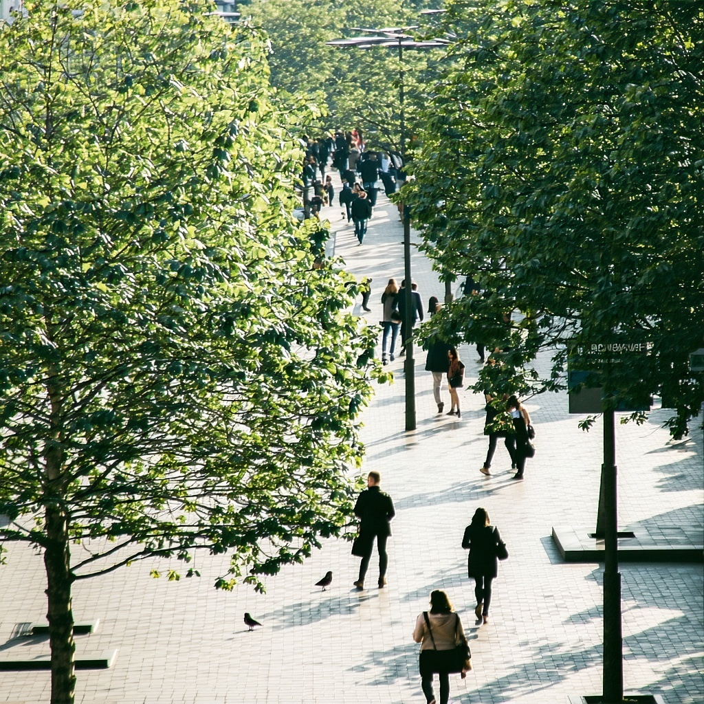 urban area with trees people and birds eye view with a close up on the trees daylight