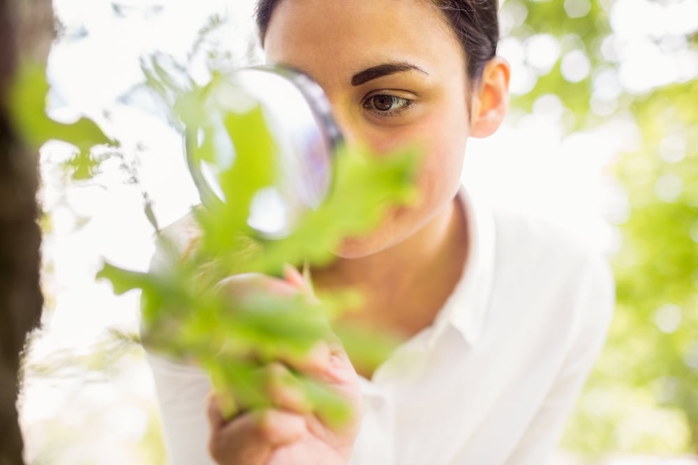 Beautiful brunette looking at plant through magnifying glass on a sunny day