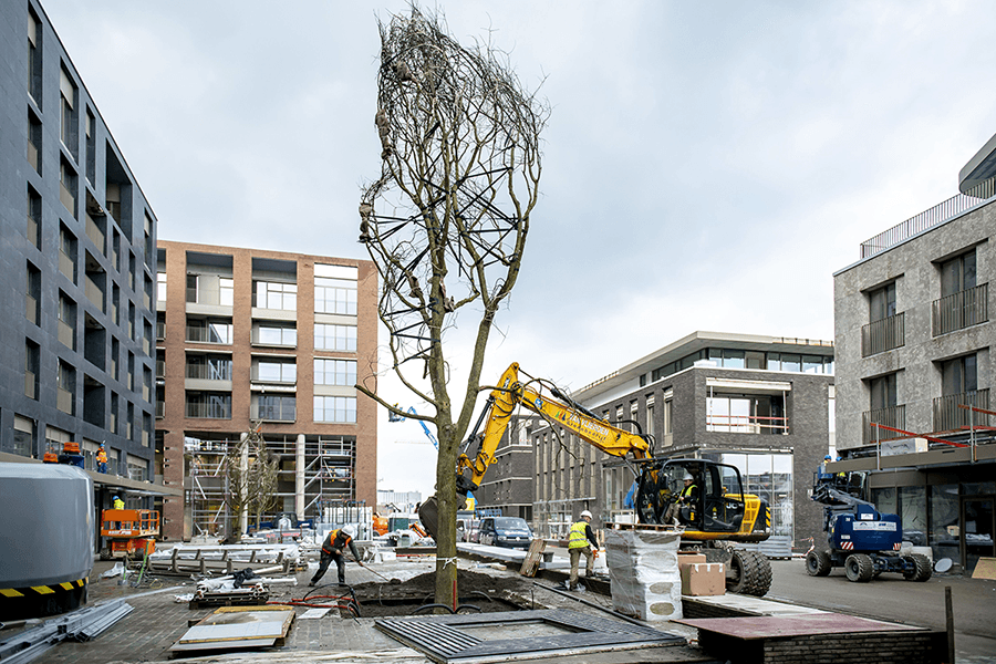 TreeTank-project-in-Hasselt-1200x800