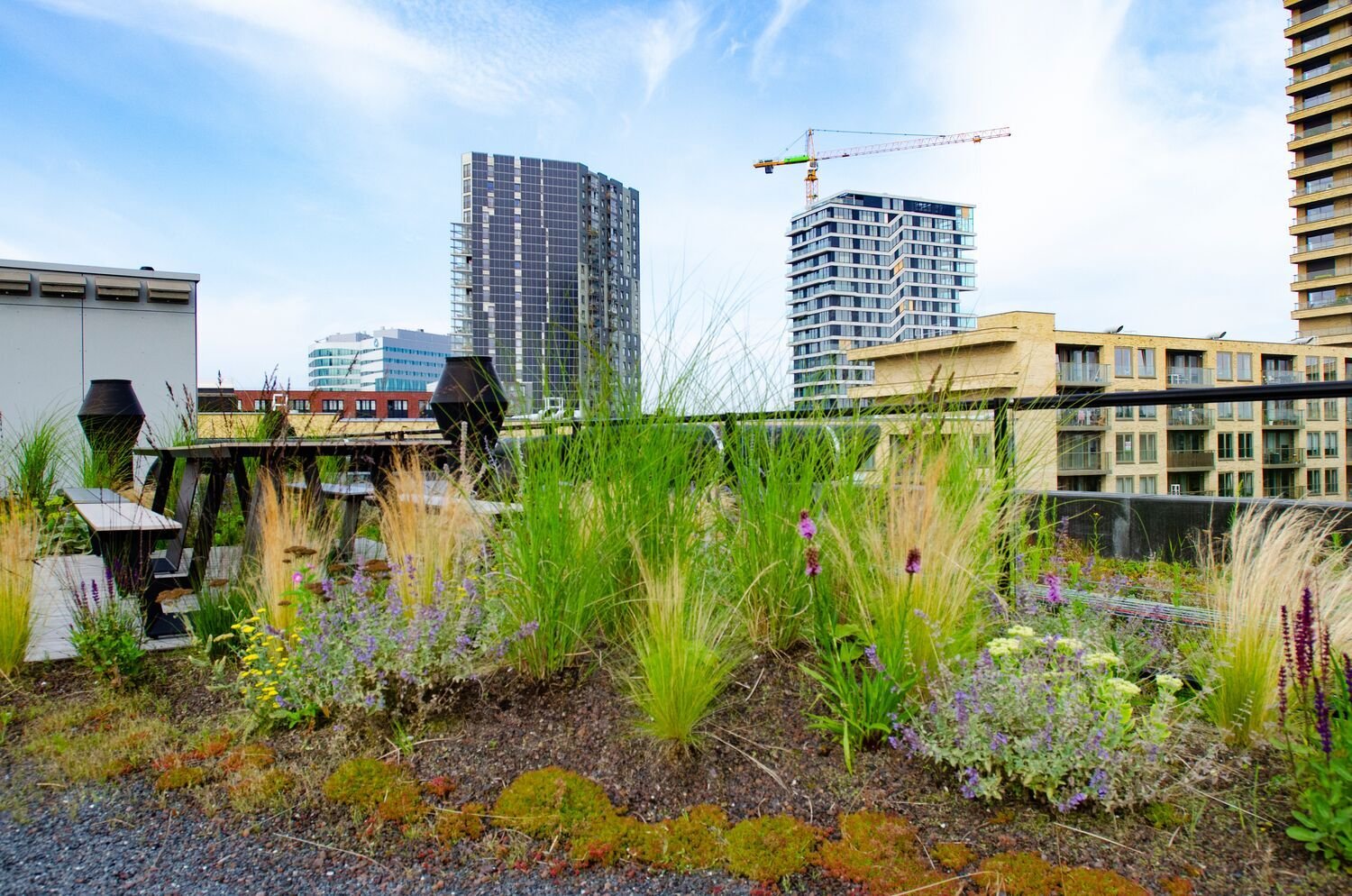 Extra large-X0055685