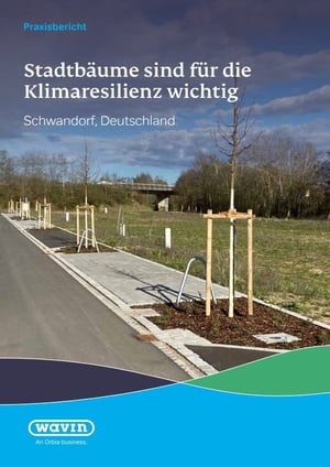 Stadtbäume für mehr Klimaresilienz in Städten