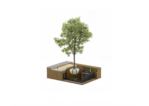 Gesunder Baumwuchs in Städten