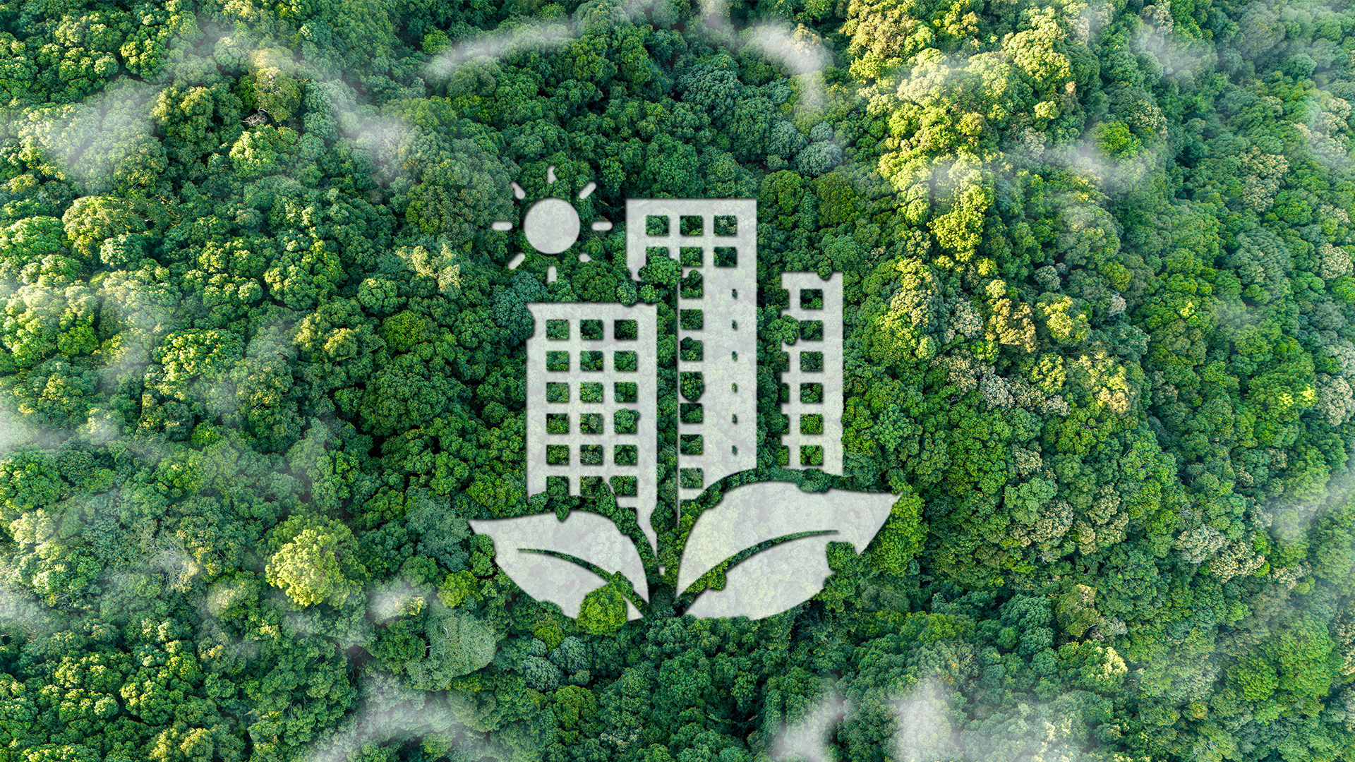 BDS sustainability