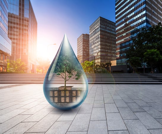 Protect urban trees with innovative systems like Wavin TreeTank 