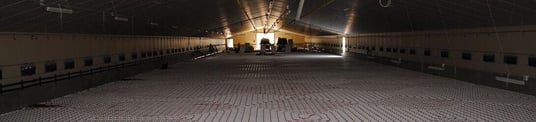 installation of a sewage plastic pipe during the construction of a house. Creative Banner. Copyspace image