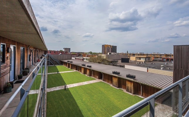 Dachbegruenung Skyline