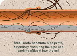 Rootseal Technology