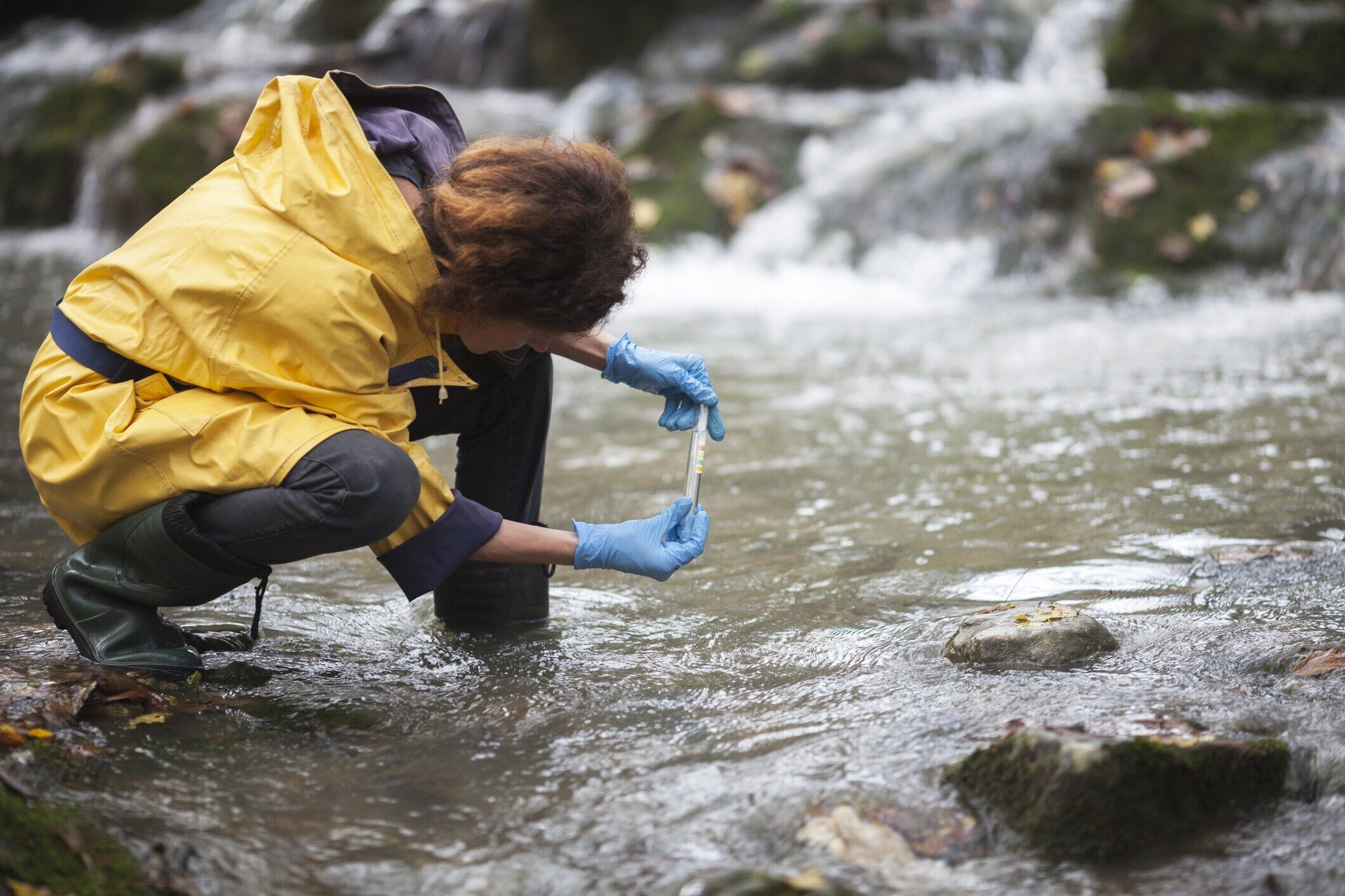 Suds water quality image