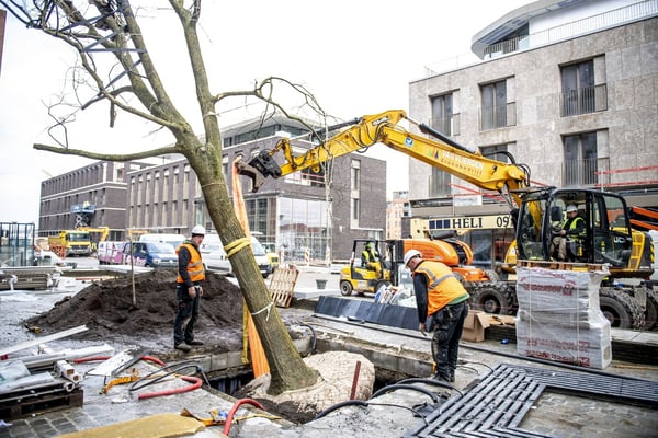 TreeTank project in Hasselt