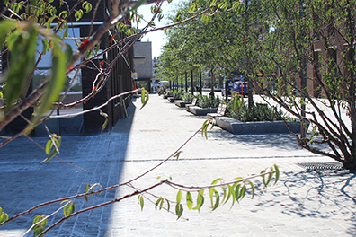 TreeTank-project-in-Hasselt-1200x600
