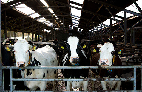 biogas476x308_5-1-1