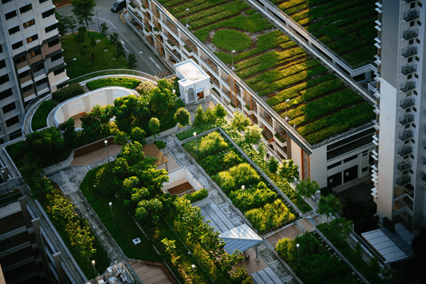 city-garden-birds-eye-view-Jun-06-2022-03-25-34-19-PM