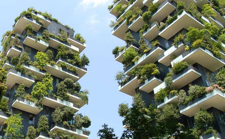 Groene gebouwen en daken