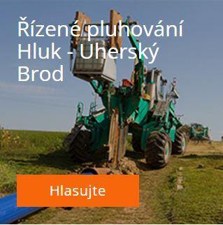PURPOSE_CZ_pluhovani