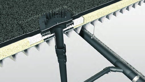 QS image 1