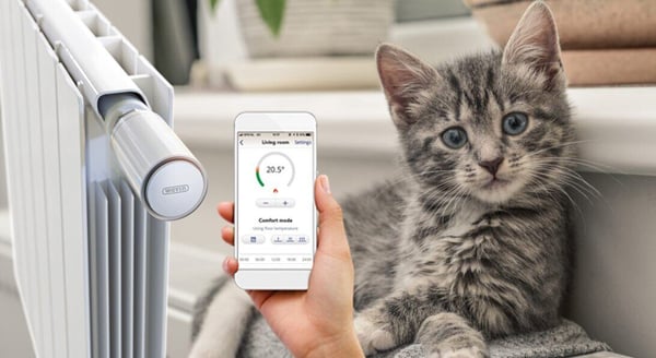 sentio---zawory---image---kotek-3-1-1