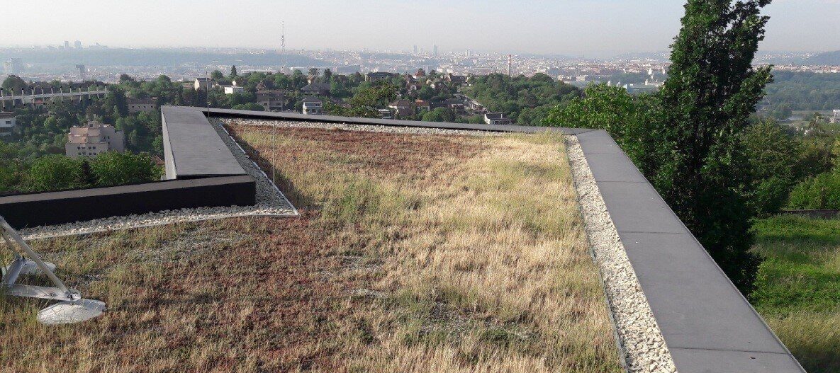 Extenzivní vegetační Villa Sophia (zdroj: https://www.isover.cz/)