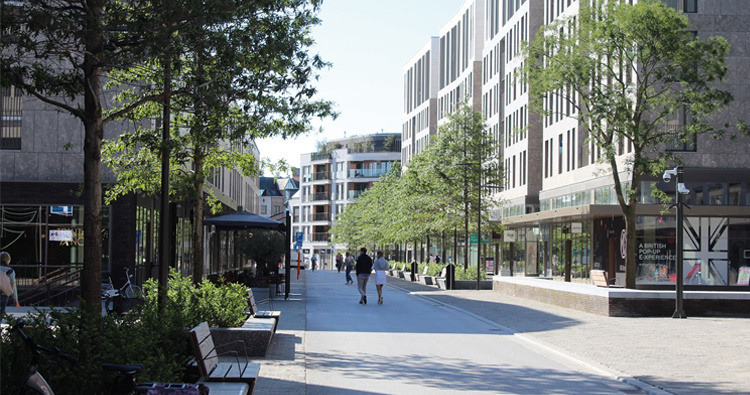 Tree tank case study street with trees