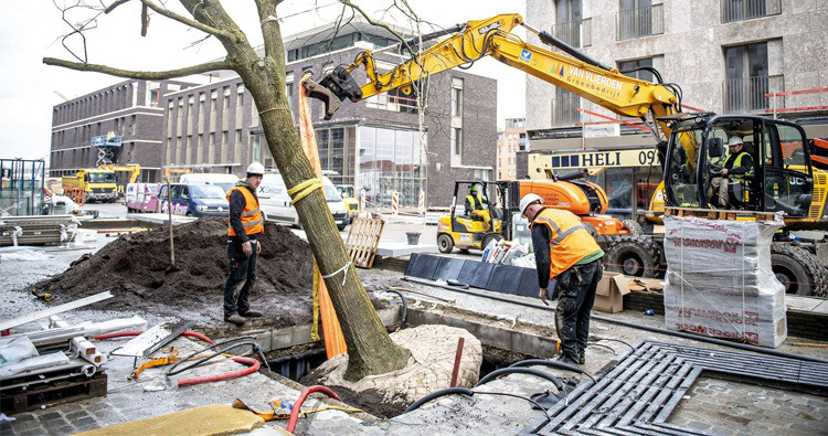 TreeTank being installed into the ground
