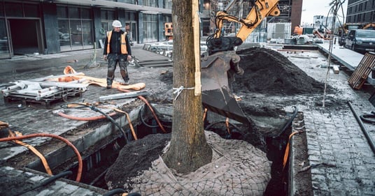 treetank---image2-Sep-21-2022-12-55-45-75-PM-1-1