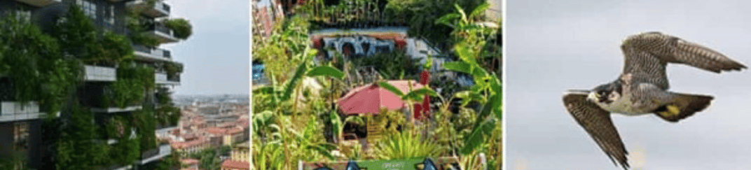 installation of a sewage plastic pipe during the construction of a house. Creative Banner. Copyspace image