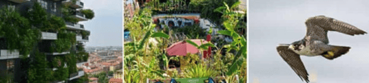 installation of a sewage plastic pipe during the construction of a house. Creative Banner. Copyspace image