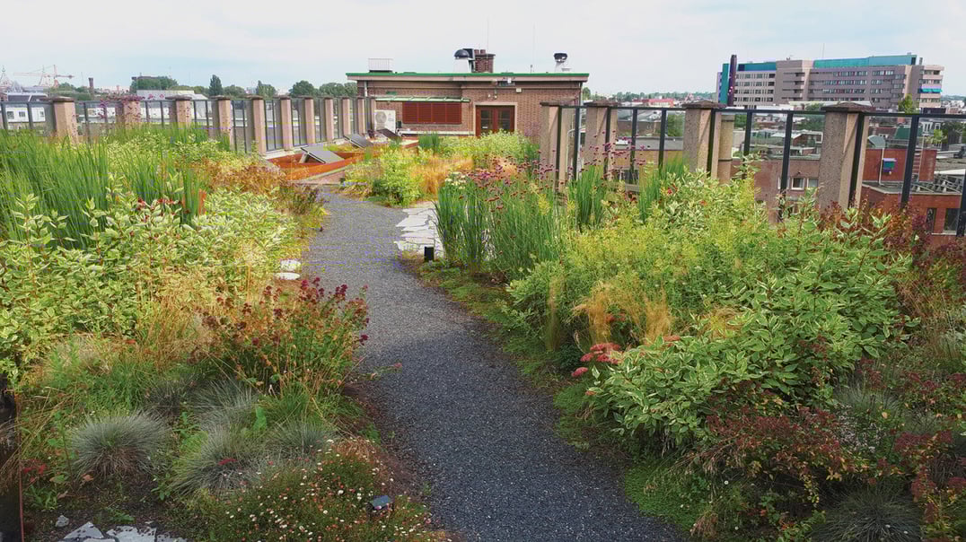 wavin_blue-green-roof_01