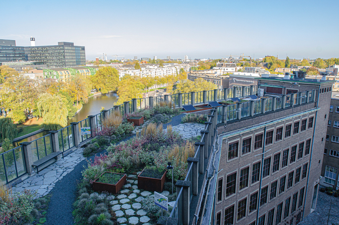wavin_blue-green-roof_02