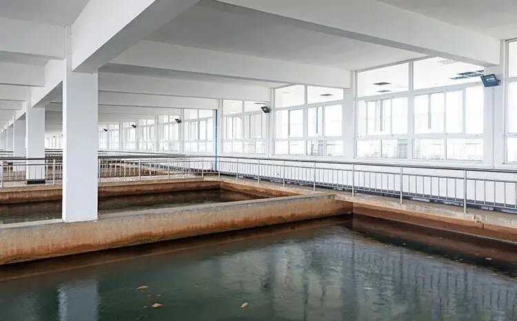 Korrosion von Beton
