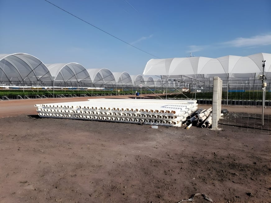 blt629e717ed61dcaa8-biaxial_campo_(1)_(1)_(1)