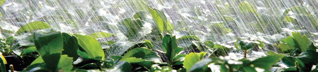 Akumulace a využití dešťové vody