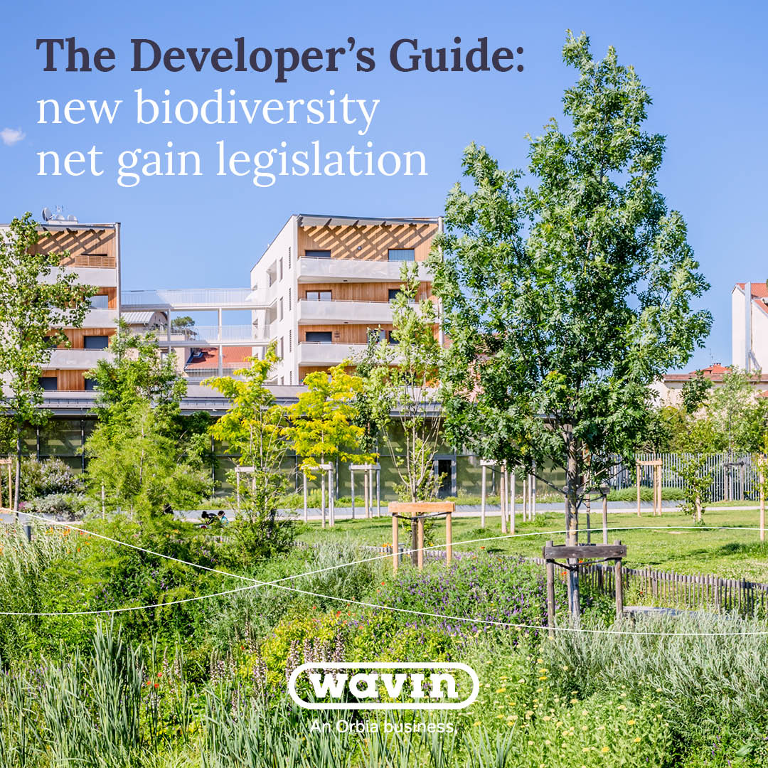 The developers guide: new biodiversity net gain legislation