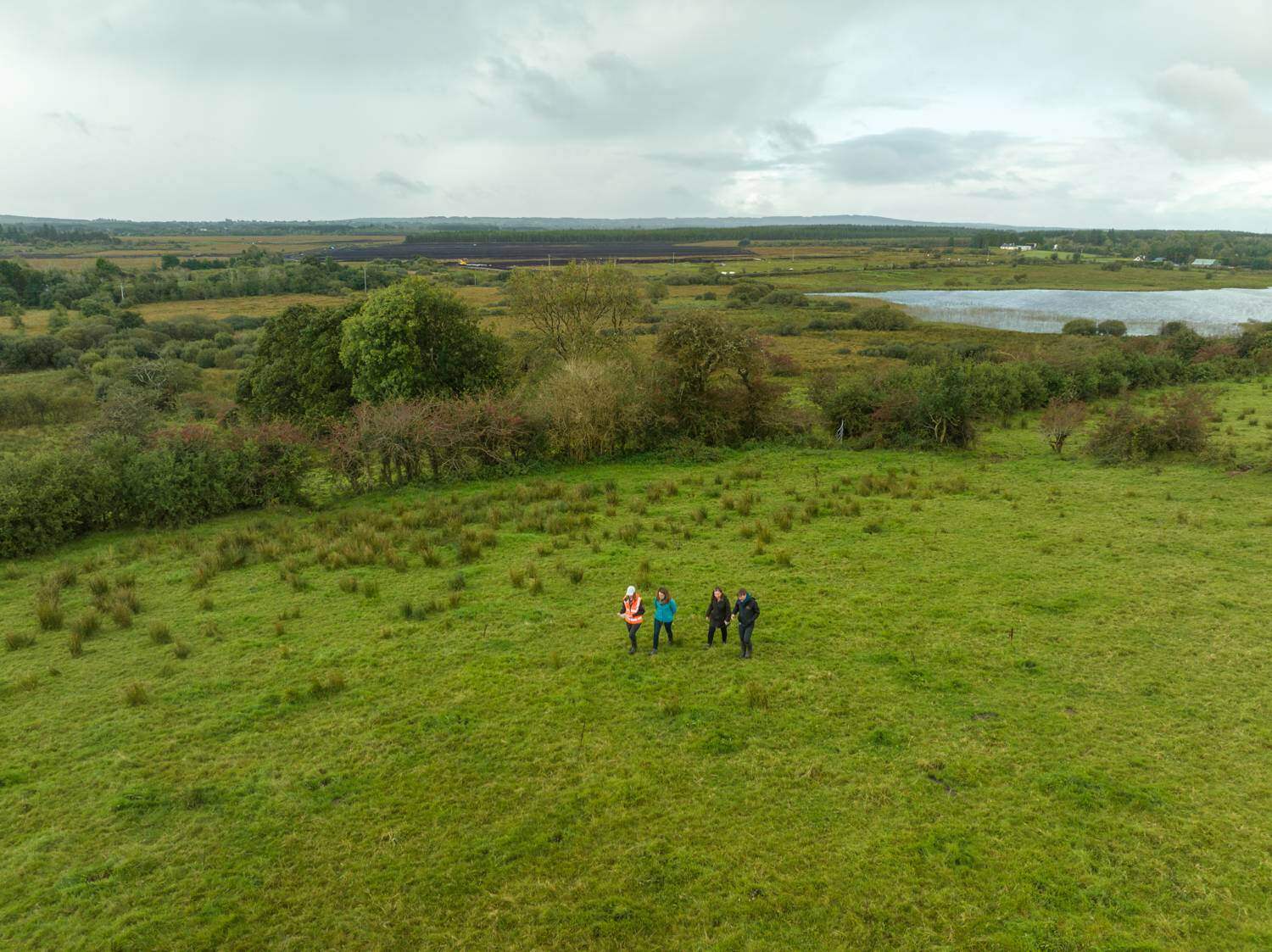 Planting the First Guaranteed Irish Forest