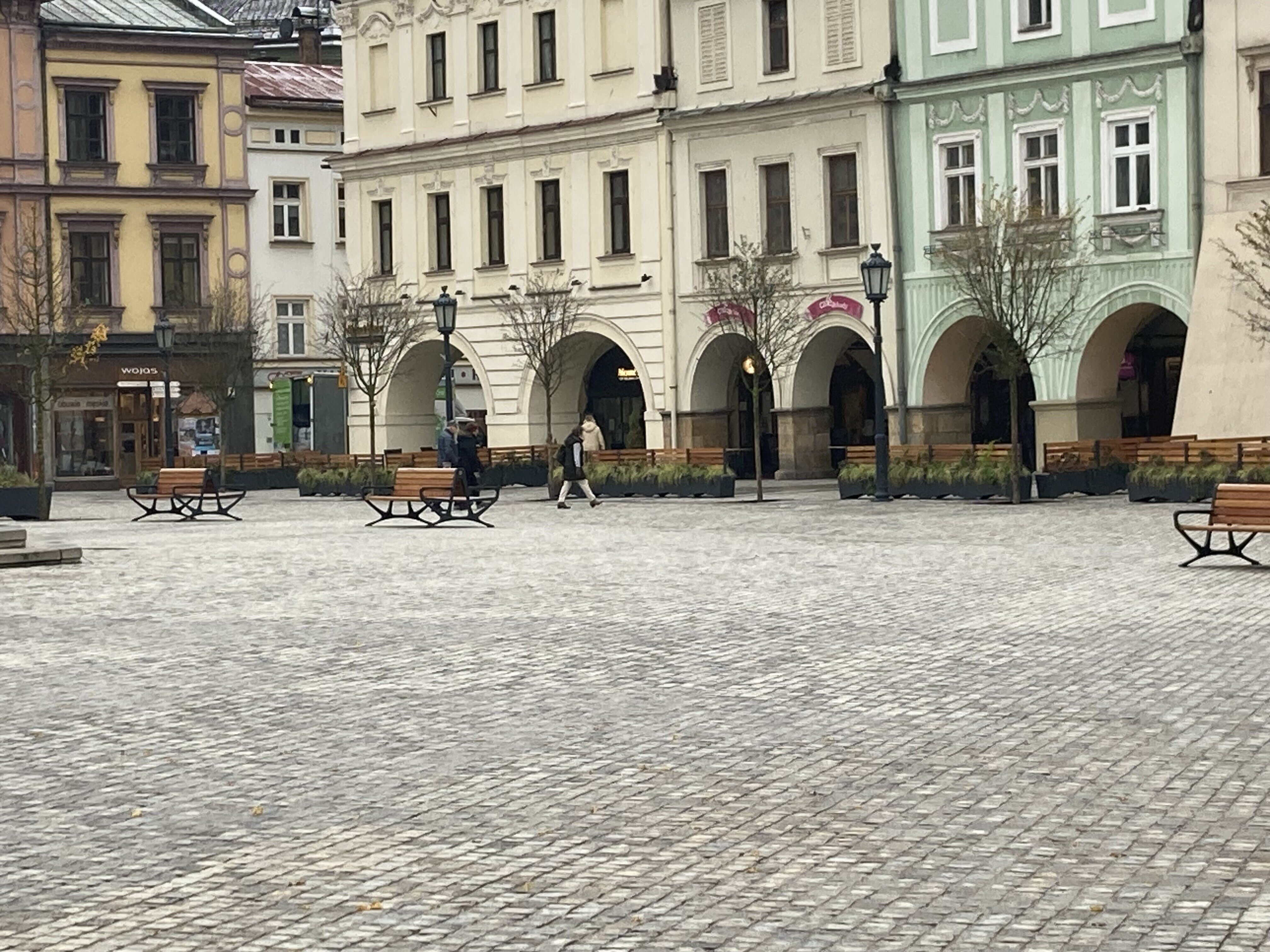 Drzewa na cieszyńskim rynku w zbiornikach antykompresyjnych Wavin TreeTank