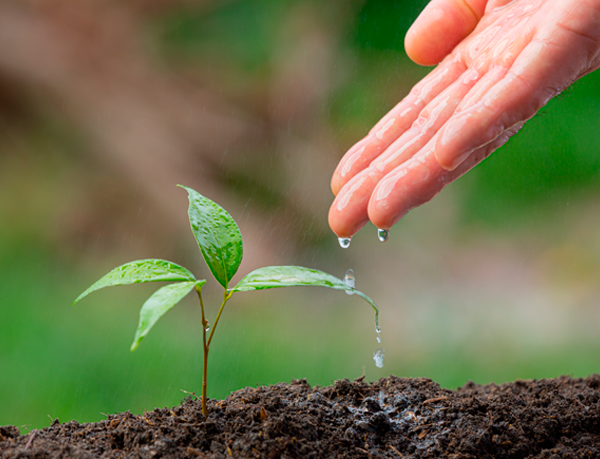 El cambio climático incrementa escasez de agua, ¿Cómo cobatirlo?