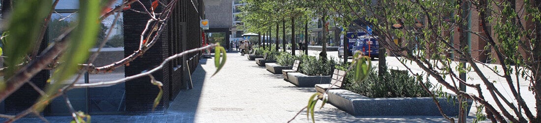 Een groene stad bouw je van onderuit