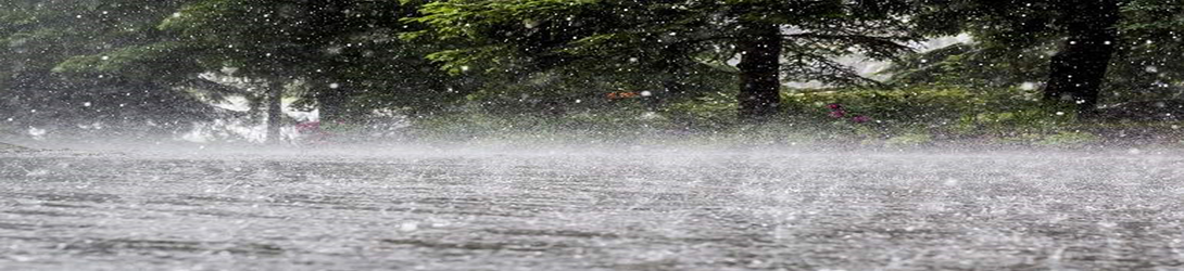 ¿Época lluviosa? Los beneficios de almacenar agua lluvia