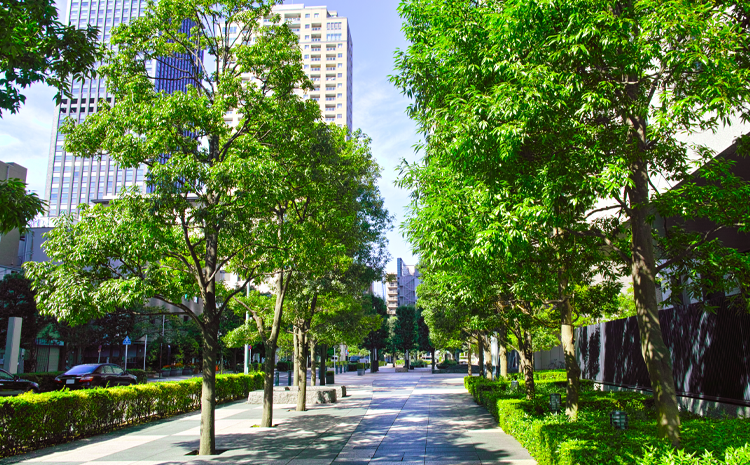 Sostenibilità città resilienti alberi | Wavin Italia