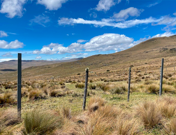 Plastigama Wavin contribuye en la conservación de los páramos, brindando materiales para la protección de la vegetación