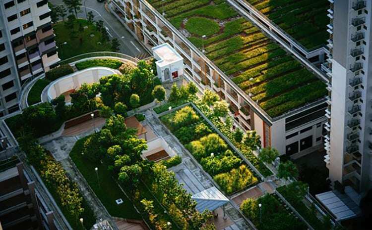 RethinkWater_GreenRoof