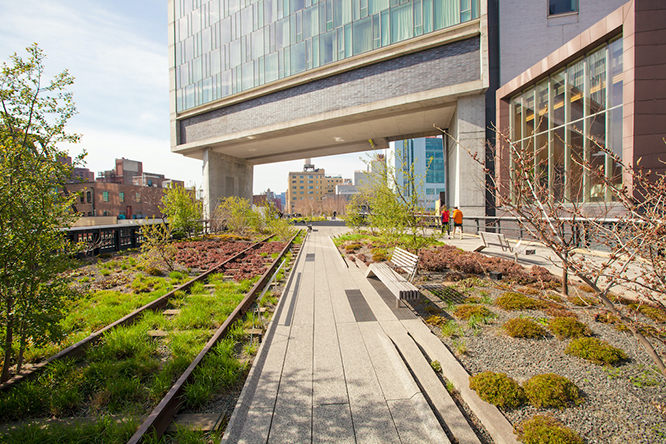 Stock photography used at Wavin Global headoffice and Academy Schiphol Amsterdam green roofs96dpi56