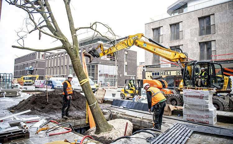 TreeTank project in Hasselt - 750x465 kraan