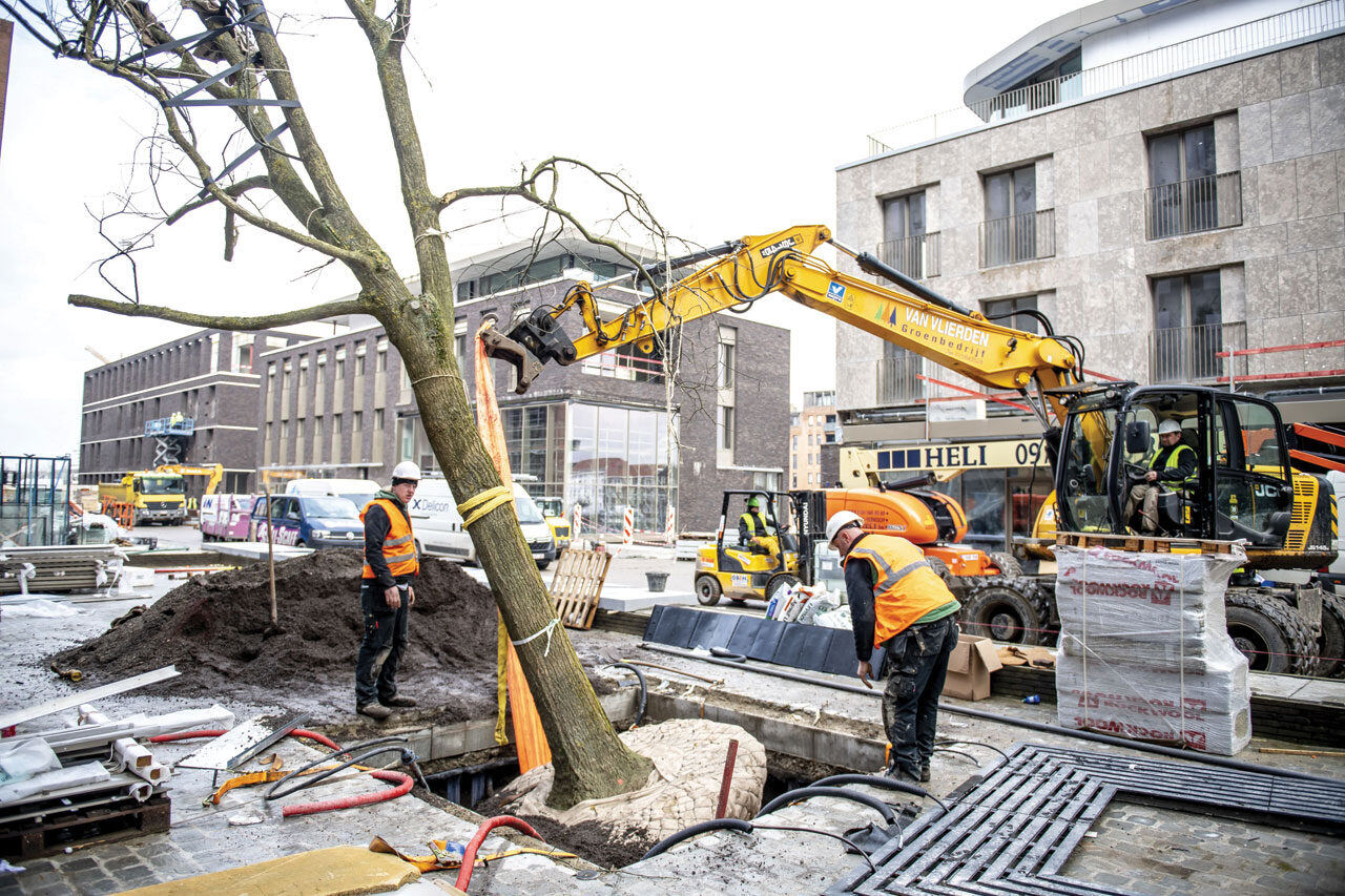 TreeTank project in Hasselt - from installation to final result_96dpi_1280x853px_E_NR-52377