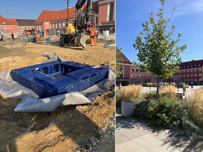 Zbiorniki antykompresyjne dla drzew – zalety Wavin TreeTank