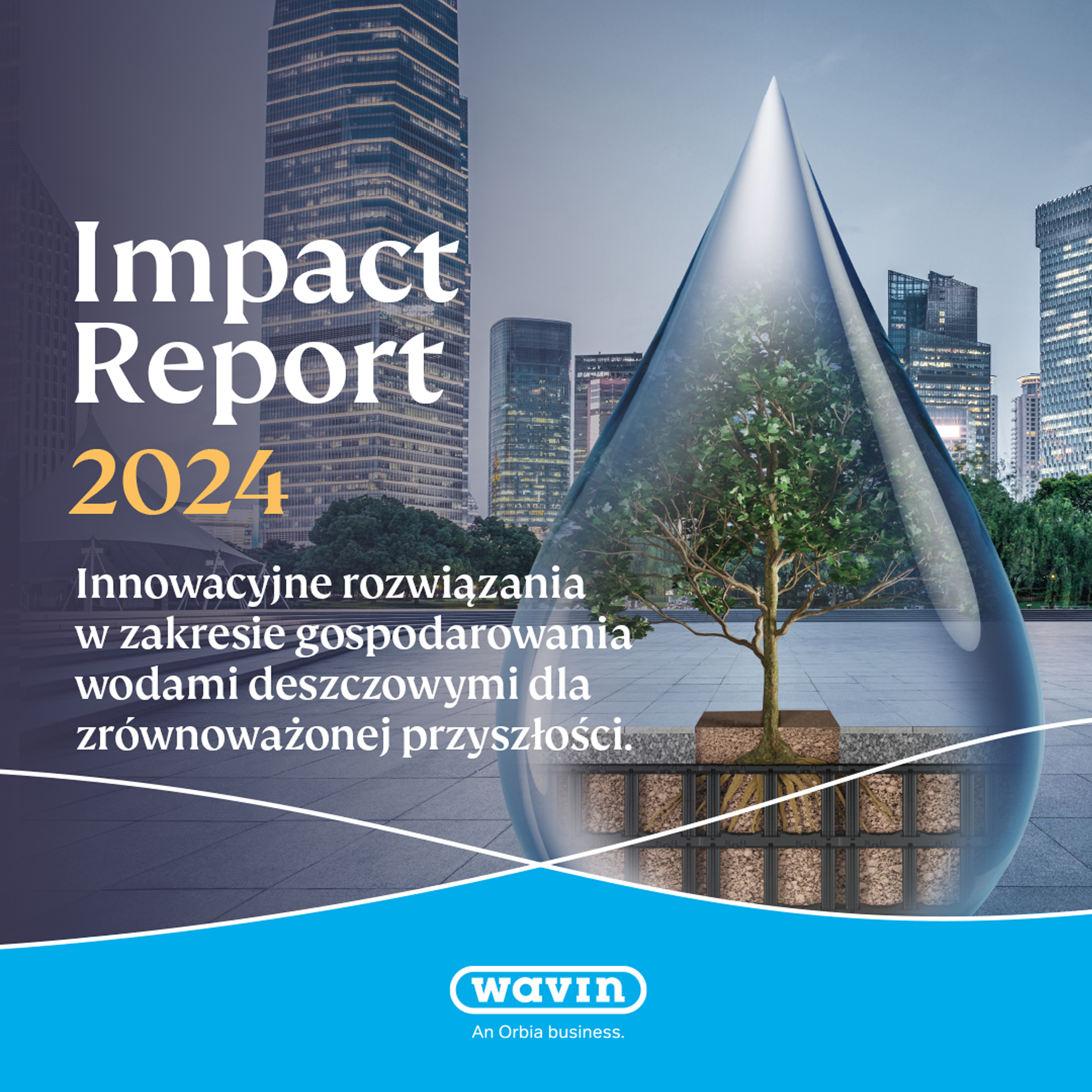 Impact Report 2024