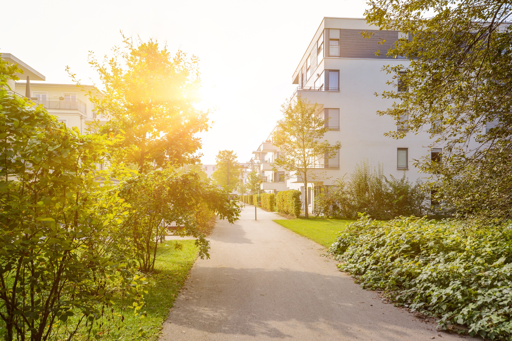 The compelling case for retaining trees in new developments