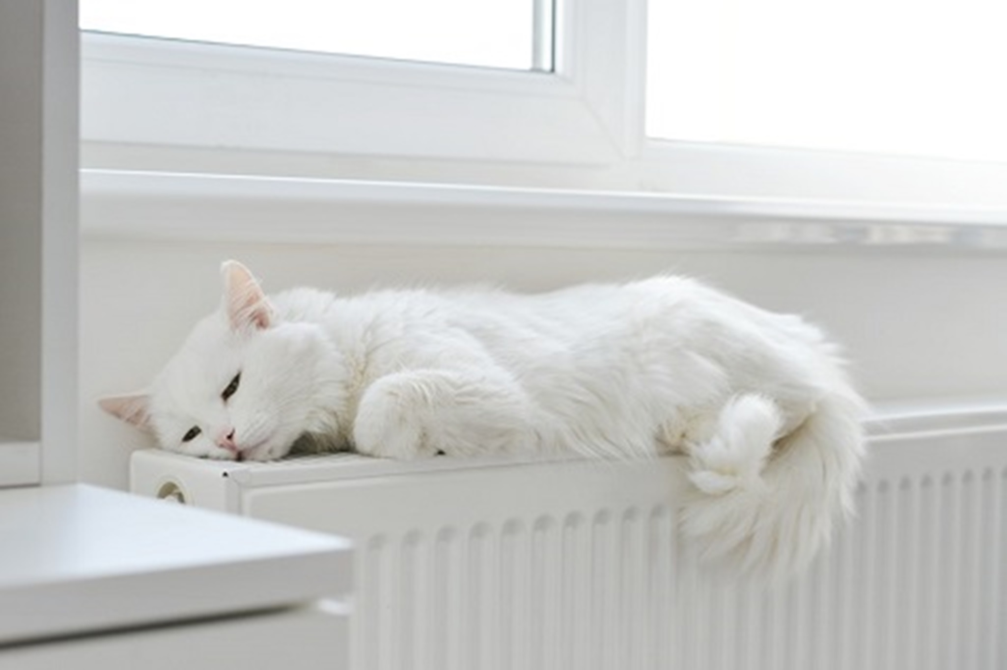 Is the end of the radiator near?