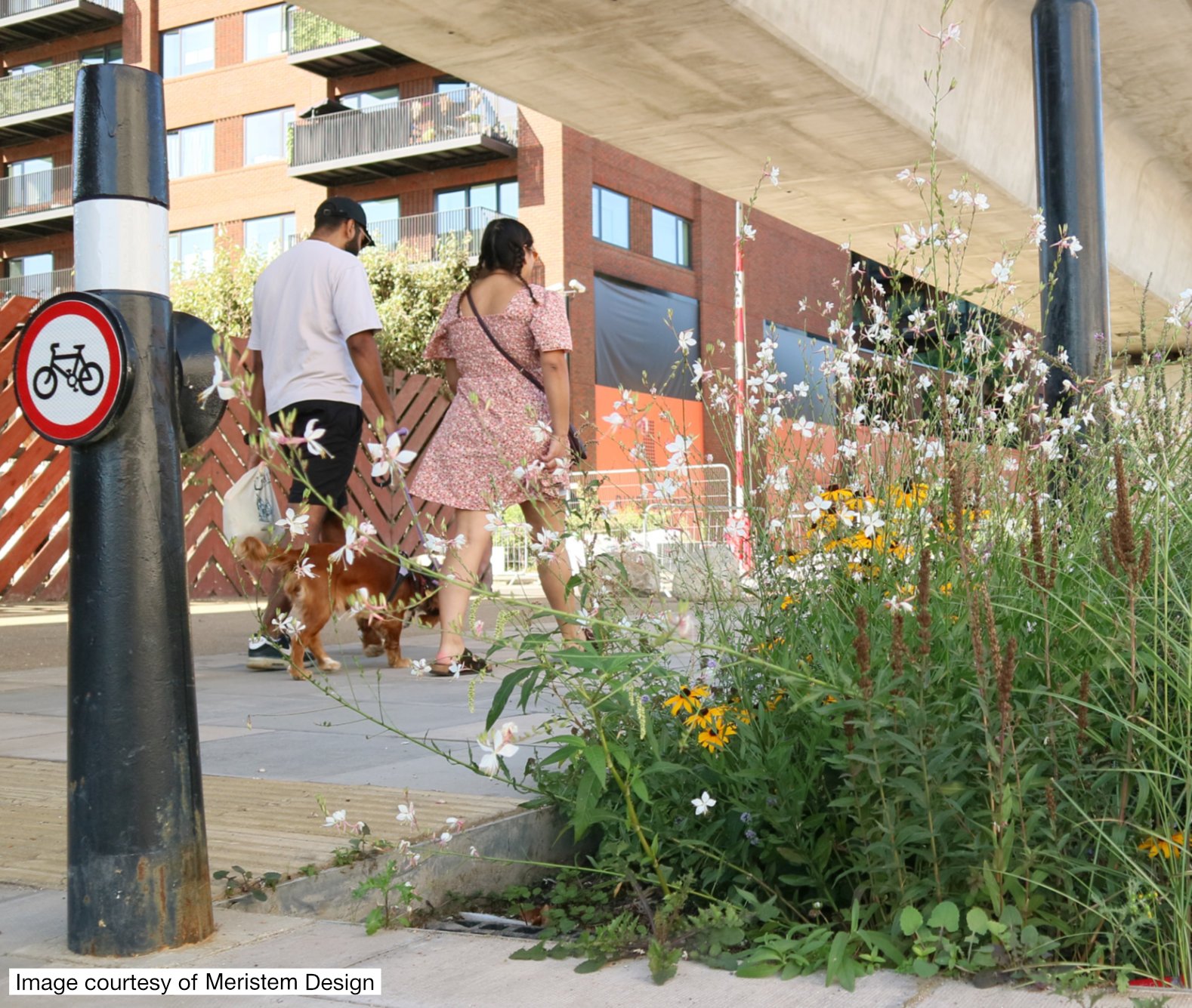 royal-dock-rain-gardens-1-2